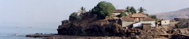 View from kanakdurga fort - Harne